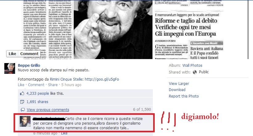 grillo6