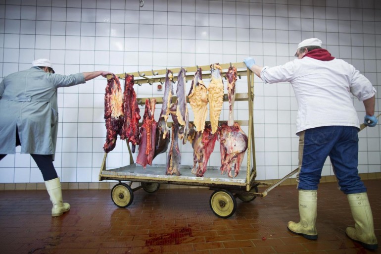 La carne scaduta di otto anni fa pronta a finire nelle macellerie