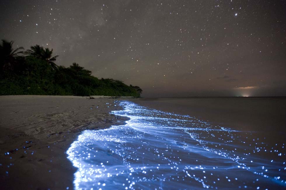 La spiaggia luminosa di Vaadhoo, nelle Maldive. La bioluminescenza è data da alcuni microrganismi che reagiscono all'ossigeno.