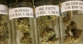 Marijuana medica dispensario leafly