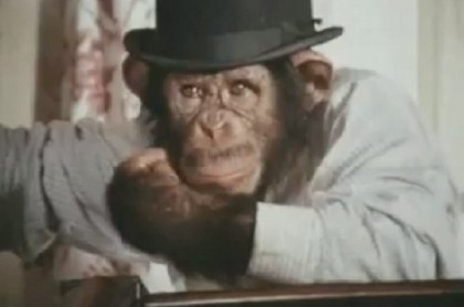 louis scimpanzè 2