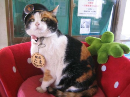 tama gatto ferrovie giapponesi 2