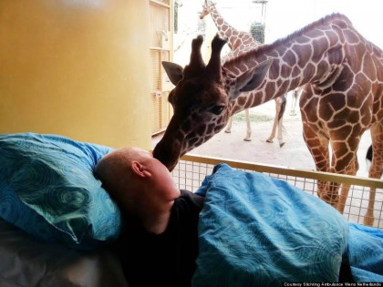 http://www.huffingtonpost.co.uk/2014/03/20/mentally-disabled-cancer-patient-shares-farewell-kiss-with-giraffe_n_5003841.html?utm_hp_ref=uk