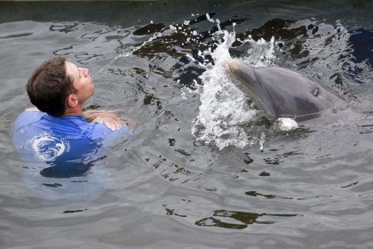 delfini killer esercito ucraino