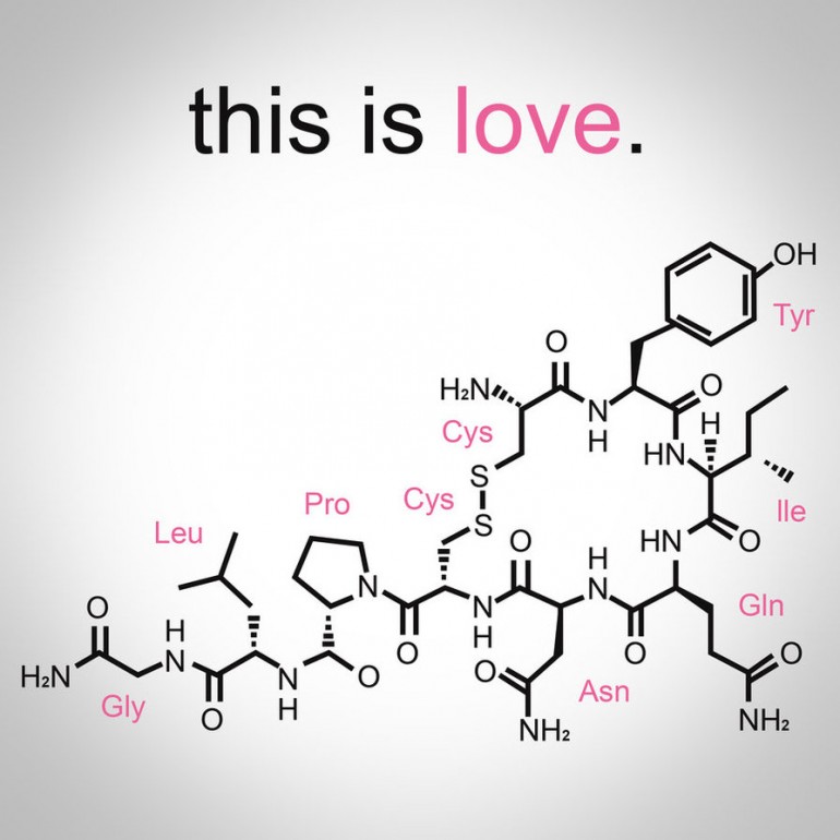 oxytocin_love_pheromone