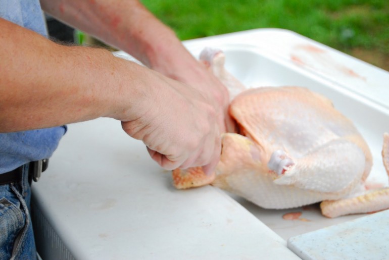Gli esperti raccomandano attenzione nella preparazione della carne di pollo