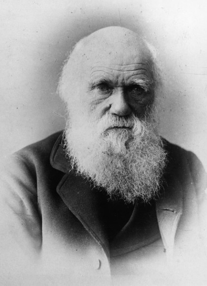 Charles Darwin (Foto: General Photographic Agency/Getty Images)