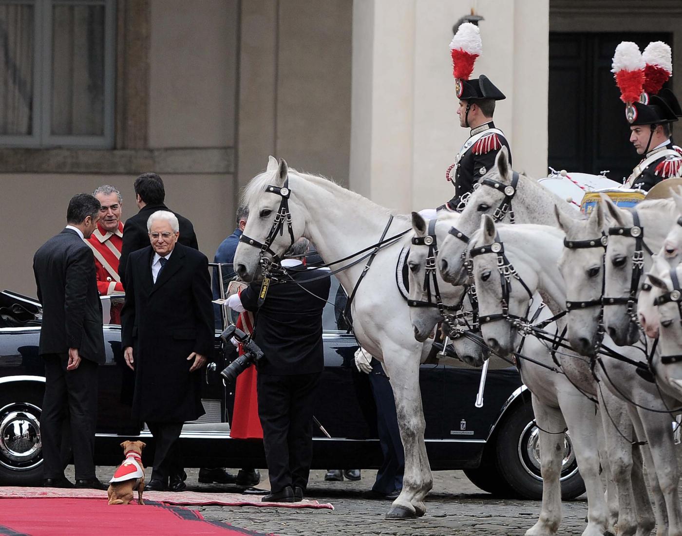 Briciola, la mascotte dei Carabinieri che dà il benvenuto al Presidente Mattarella