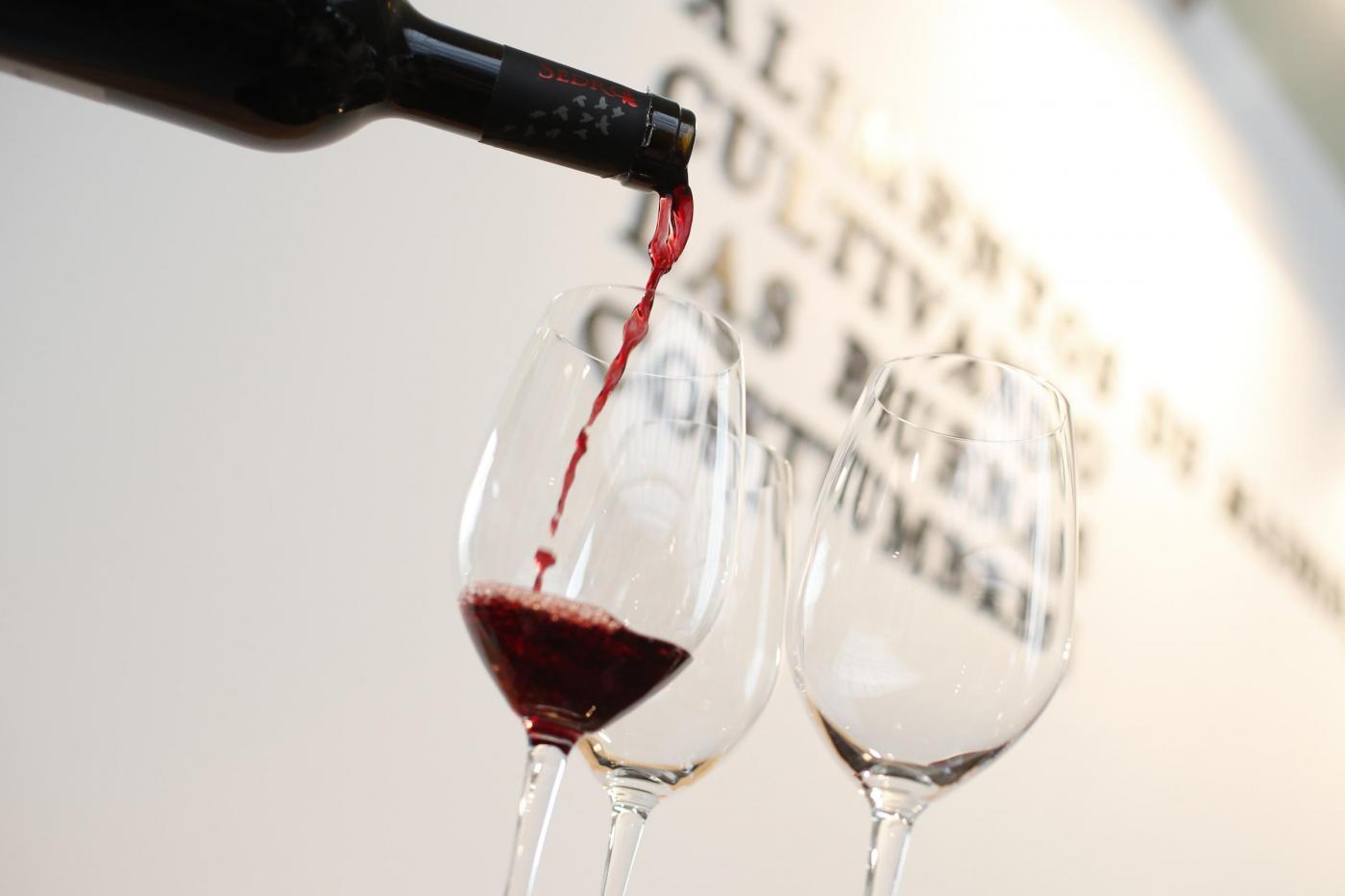 I 12 segreti del vino che non conoscevi