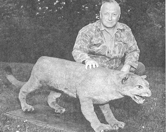 Bruce Wright, a New Brunswick, Canada wildlife biologist and author, with what is believed to be the last eastern puma. The puma was trapped in Maine in 1938 by a Canadian national. The preserved specimen resides in the New Brunswick Museum. Credit: USFWS