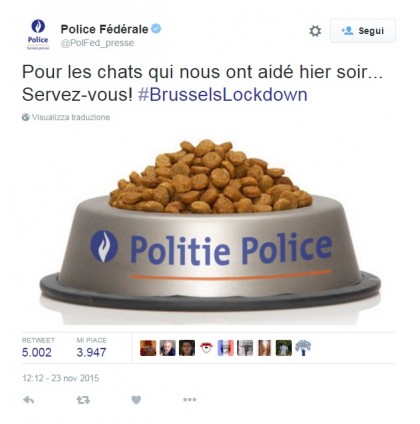bruxelles gattini twitter polizia