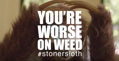 stoner sloth 