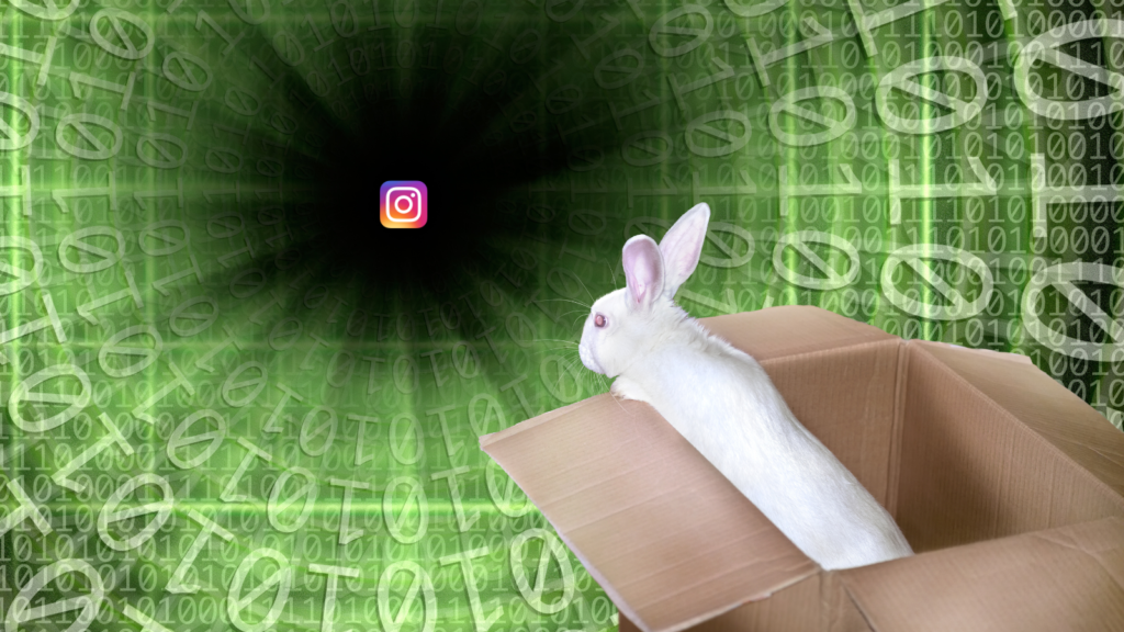 Come si configura l’effetto “rabbit hole” su Instagram